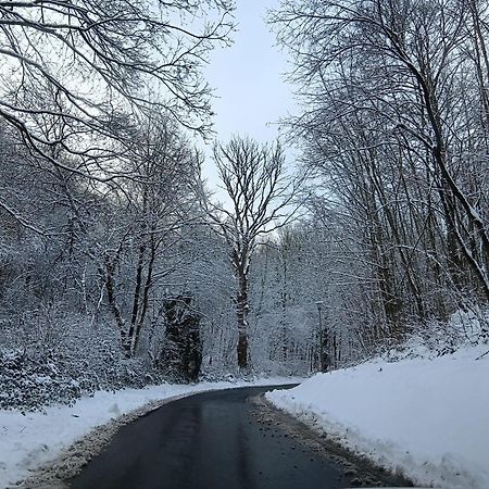 La Cabane D'Helie - Cottage En Pleine Foret - Domaine Du Bonsoy Hastiere-par-dela エクステリア 写真
