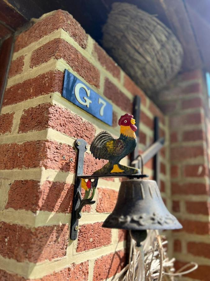La Cabane D'Helie - Cottage En Pleine Foret - Domaine Du Bonsoy Hastiere-par-dela エクステリア 写真