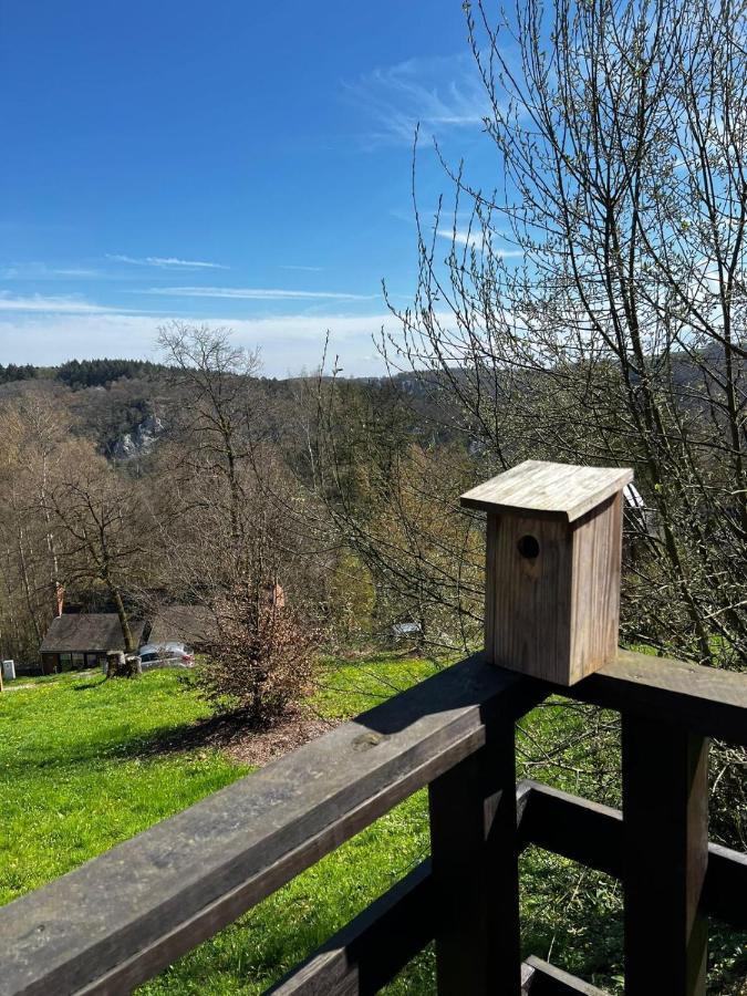 La Cabane D'Helie - Cottage En Pleine Foret - Domaine Du Bonsoy Hastiere-par-dela エクステリア 写真